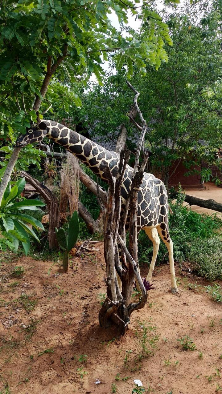 Elephant Trail Guesthouse And Backpackers Kasane Exterior photo
